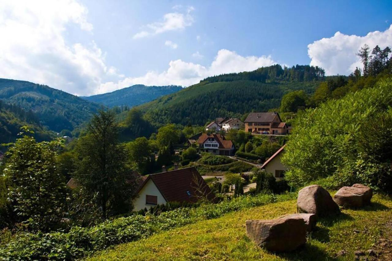 Maison Rurale En Bordure De Foret ستشيرمك المظهر الخارجي الصورة