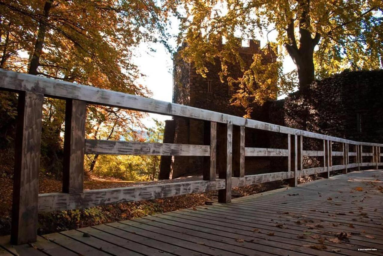 Maison Rurale En Bordure De Foret ستشيرمك المظهر الخارجي الصورة
